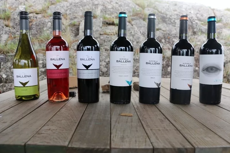 A influência marítima da vinícola boutique Alto de la Ballena
