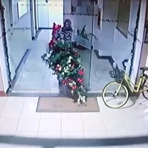 Homem invade condomínio para roubar árvore de Natal