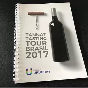 Wines of Uruguay 2017: Separamos alguns rótulos expressivos da Masterclass