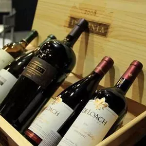 Wine Experience traz castas do West Coast da Califórnia conquistando novos paladares brasileiros