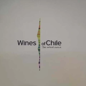 4º Tasting Wines of Chile SP: Novidade para o mercado brasileiro e para o consumidor