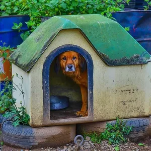 Justiça suspende remoção de casinhas de cachorro em Porto Alegre