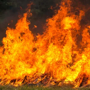 Incêndio atinge mata de condomínio de chácaras em Limeira