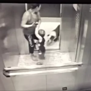 Cachorro morde criança dentro de elevador