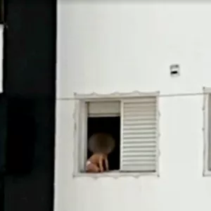 Criança é flagrada brincando na janela de prédio