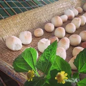 Biscoitinhos de Flores de Jambú com castanha do Pará