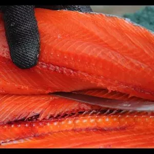 Alaska Seafood fideliza qualidade, sabor e sustentabilidade no Brasil