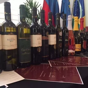 A delicadeza e a força dos vinhos orgânicos da República da Eslovênia