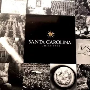 A centenária Viña Santa Carolina mostra sua história, herança e  terroir