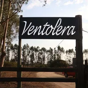 Conexão Chile: A enologia artesanal da Ventolera Wines no Vale de Leyda