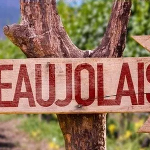Joseph Drouhin: É aberta a temporada do Beaujolais Nouveau 2018