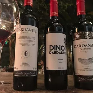 Especial Uruguai: Vinhos Familia Dardanelli