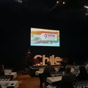 9ª Edição do Wines of Chile em SP
