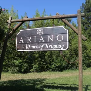 Especial Uruguai: A vinícola Ariano e seus taninos de respeito