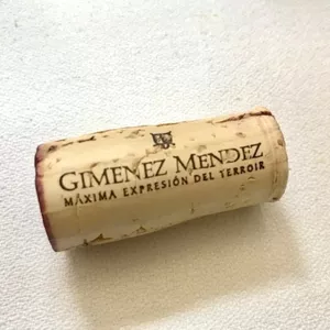 O terroir singular da bodega Giménez Méndez
