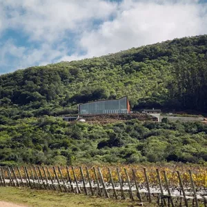 Especial Uruguai: Os vinhos de origem da Viña Edén