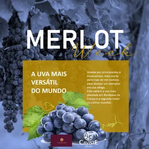 7 de novembro - Dia internacional da Merlot