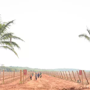   Arpuro: Nova vinícola no Cerrado Mineiro começa a escrever sua história no mundo do vinho brasileiro
