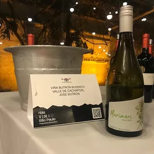 Vinau:  Guia e feira de pequenas produções de vinho chileno, prometem segunda edição 2023 em SP.