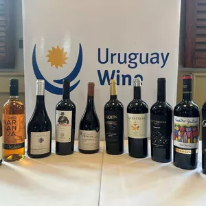 Dia da Tannat com a Uruguay Wine