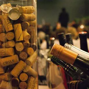 Club Transatlântico traz degustação de vinho às cegas e música no seu 3° Weinfest