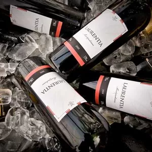 Fit Vinhos toma a frente e aposta no sucesso e qualidade dos espumantes e vinhos originalmente brasileiros