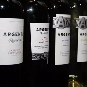 Domno do Brasil aumenta seu portfólio e começa a importar vinhos da Bodega Argento, da Argentina