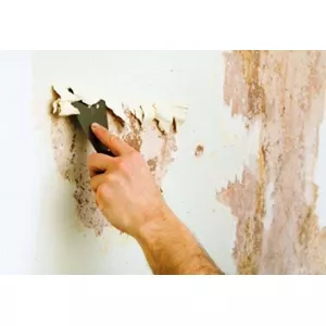 3 dicas para restaurar casas antigas com problemas de umidade e rachaduras